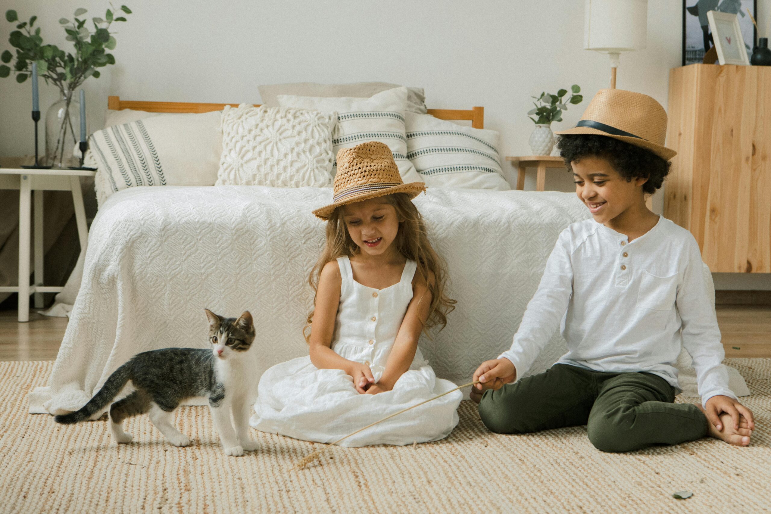 Cat owner engaging with their cat using a wand toy