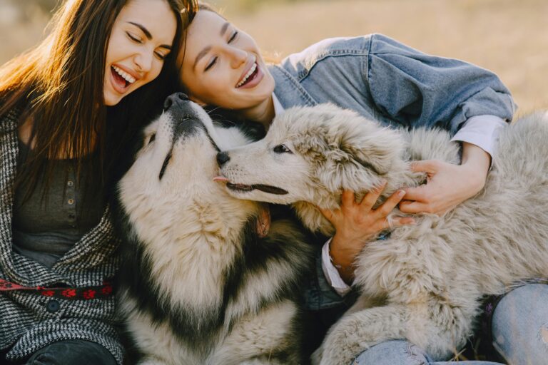 Living with a Gentle Giant: What It’s Really Like to Share Life with a Big Dog