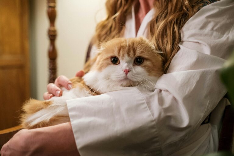 Can Cats Be Socialized Too? Yes—and Here’s How to Start